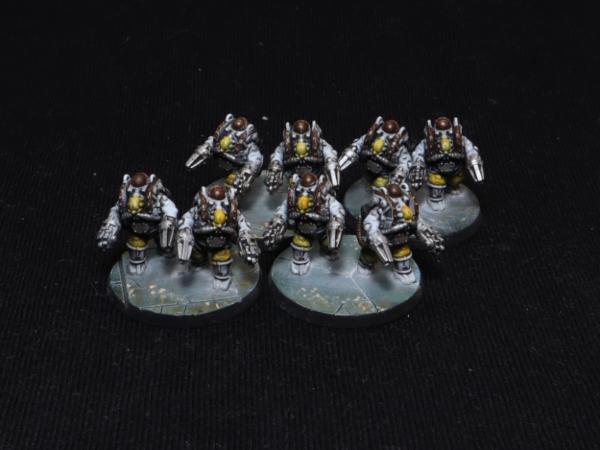 1190480_sm-Legions Imperialis